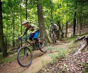 Best US National Parks for Mountain Biking | Trail Guide & Biker Tips