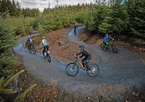 Explore Bike Parks Near You | MTB Parks & Cycling Trails by Region