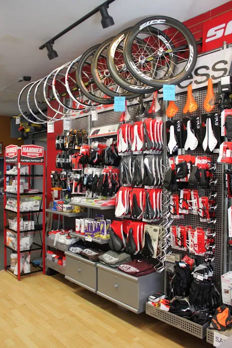 Bicycle Therapy Picture 6