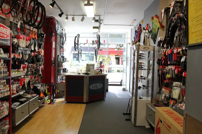 Bicycle Therapy Picture 3