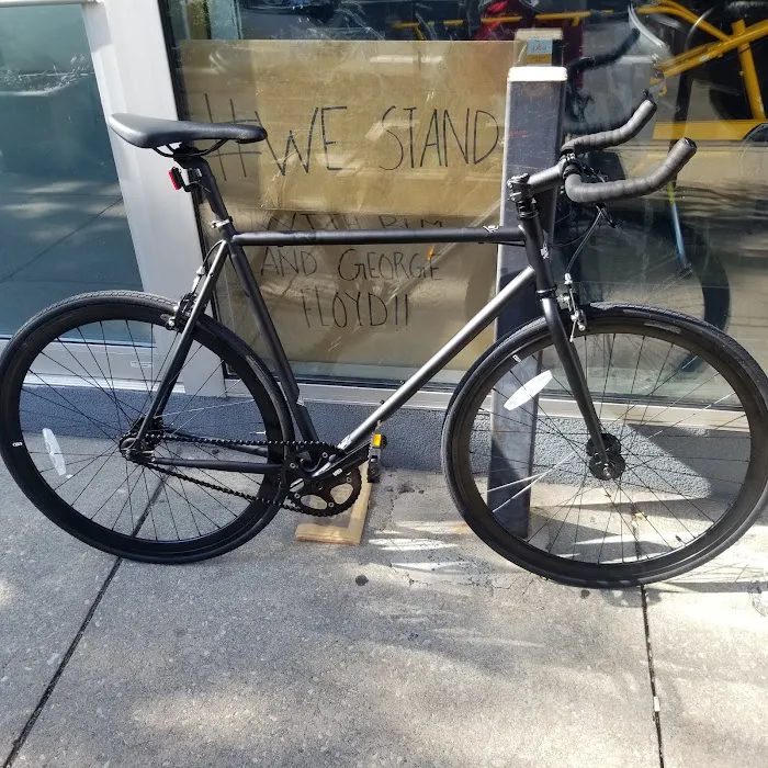 Bicycle Therapy Picture 4