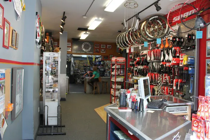 Bicycle Therapy Picture 7