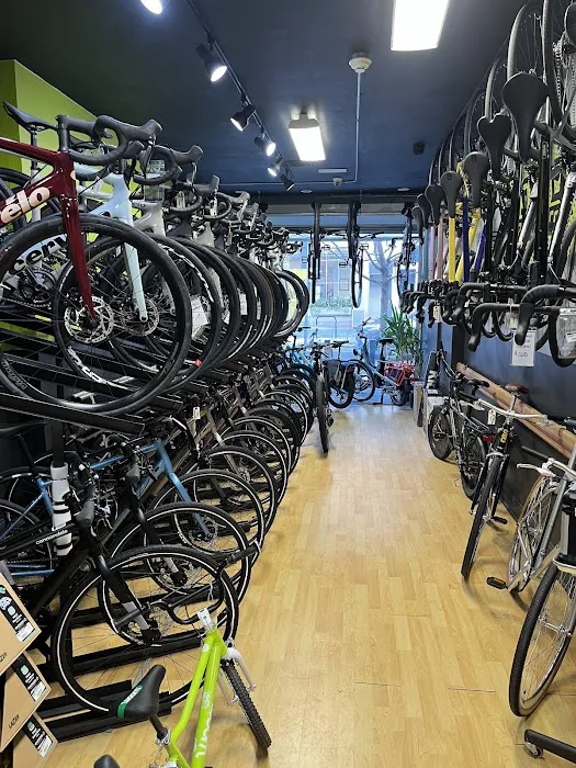 Bicycle Therapy Picture 10