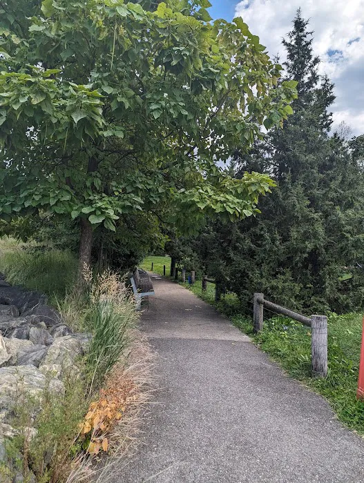 Brooklyn Bridge Park Greenway Picture 3