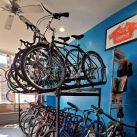 Highbridge Park Mountain Bike Trailhead ico