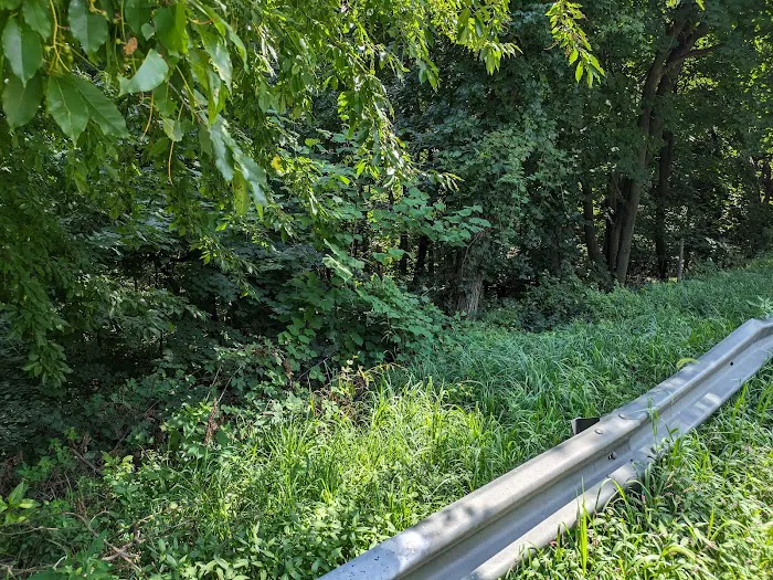 Highbridge Park Mountain Bike Trailhead Picture 9