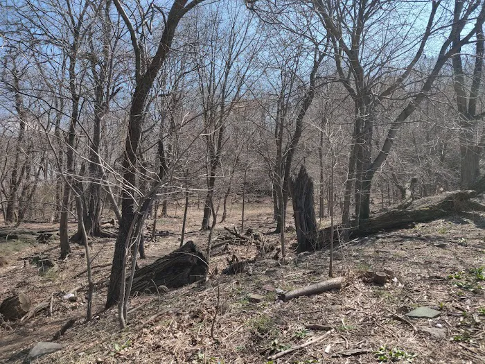 Highbridge Park Mountain Bike Trailhead Picture 8