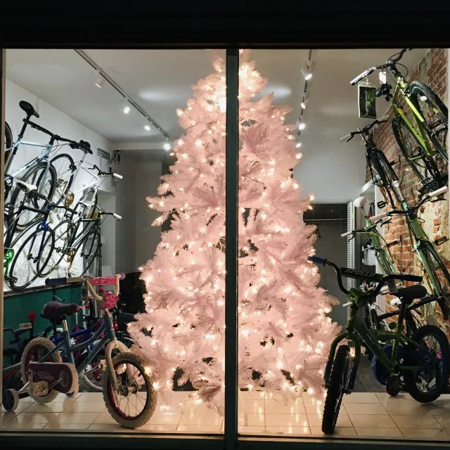 Queen Village Bicycles Picture 2