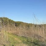 BigCedarWildernessTrails/Dallas