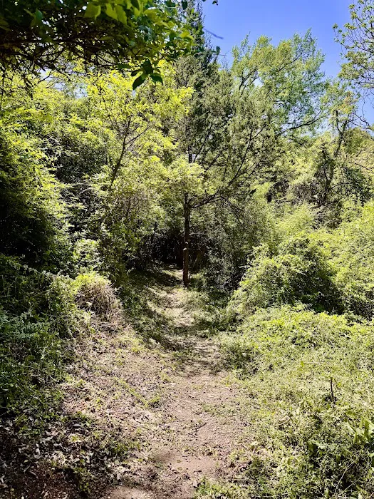 BigCedarWildernessTrails/Dallas Picture 2