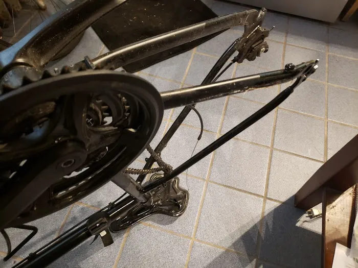Tune-Up Bike Shop Picture 2