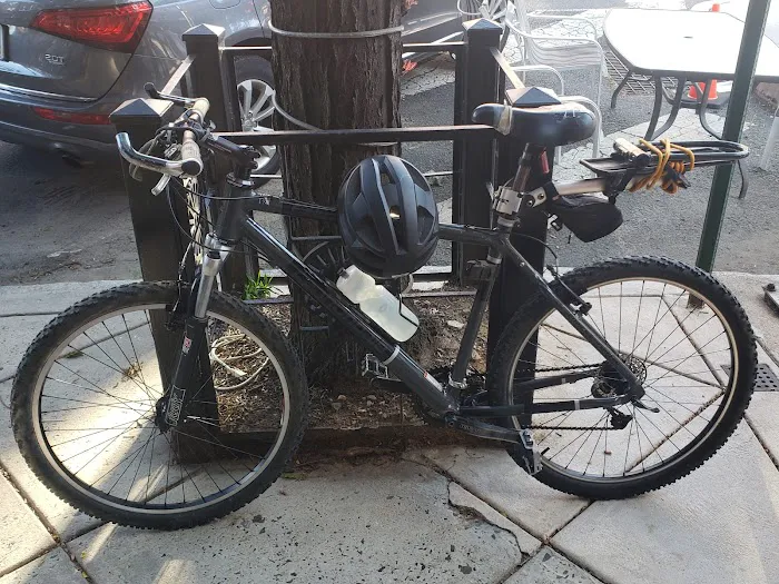 Tune-Up Bike Shop Picture 3