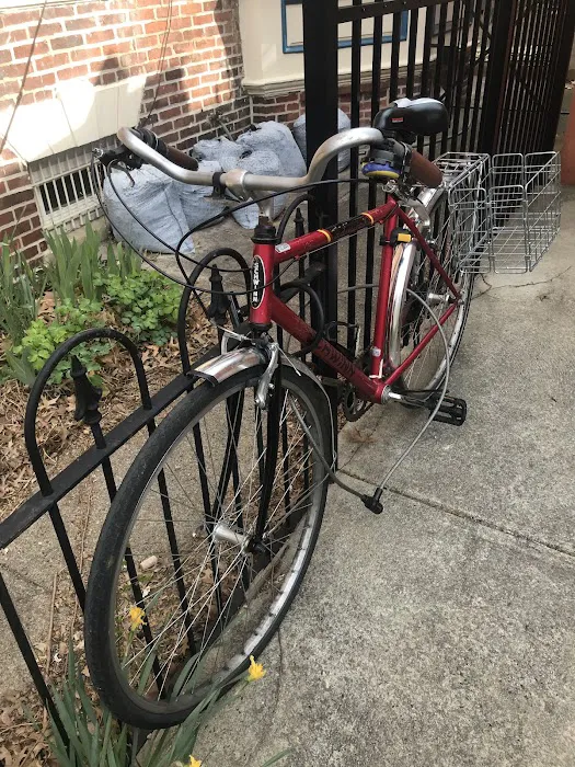 Dr. Cycles Picture 1