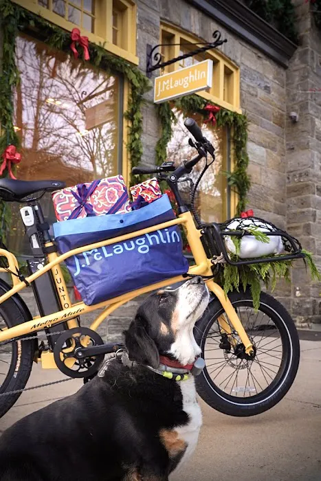 JUNTO Electric Bikes Picture 1
