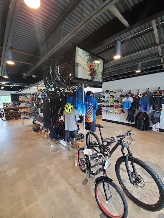 Cadence Cycling Centers- Manayunk Picture 7