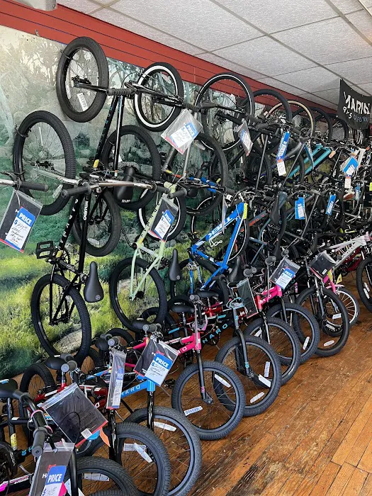 Havertown Bicycle Shop Picture 2