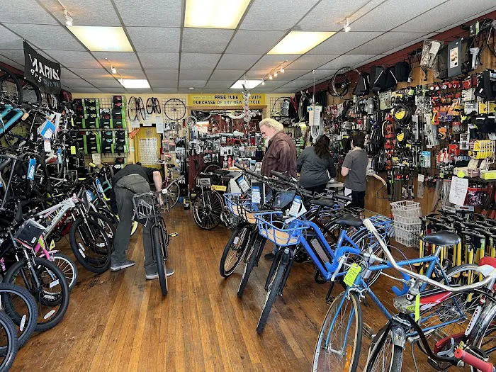 Havertown Bicycle Shop Picture 1