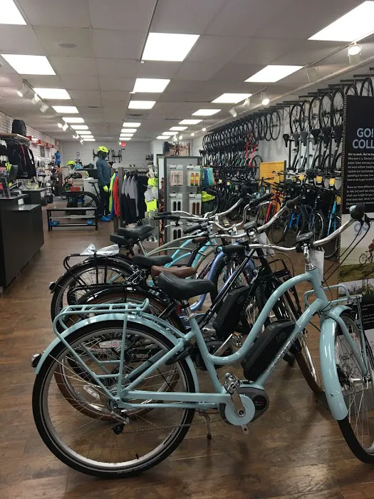 Trek Bicycle Ardmore Picture 2