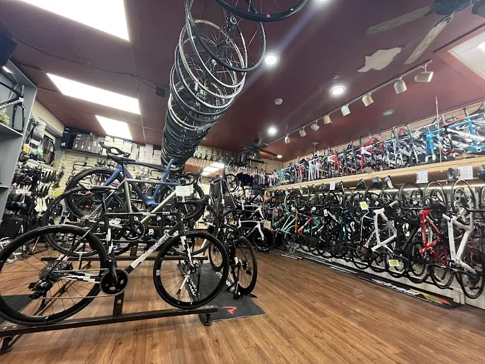 Cycles BiKyle Picture 5