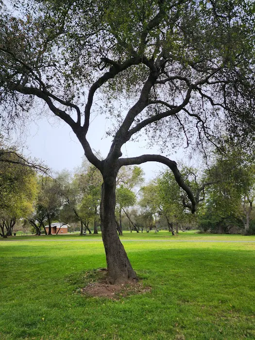 American River Parkway Picture 2