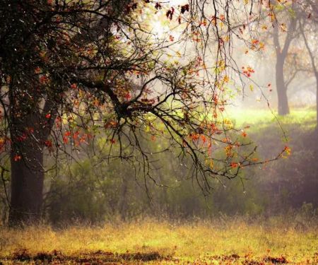 American River Parkway