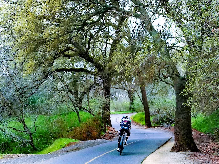 American River Parkway Picture 4