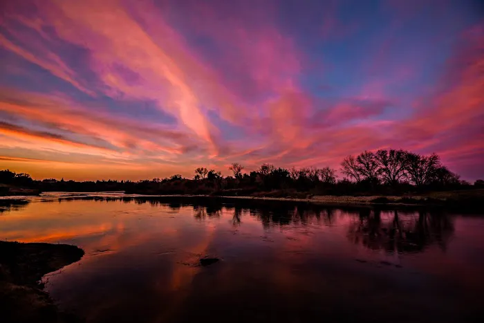 American River Parkway Picture 5