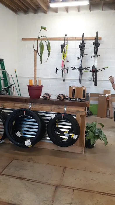 Germantown Bicycle Supply Picture 10