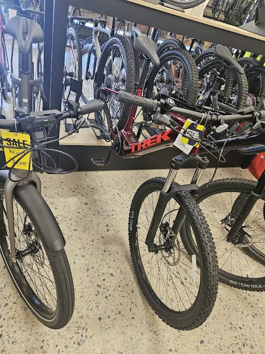 Trek Bicycle Wayne Picture 5