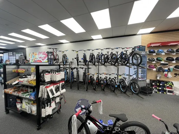Trek Bicycle Wayne Picture 8