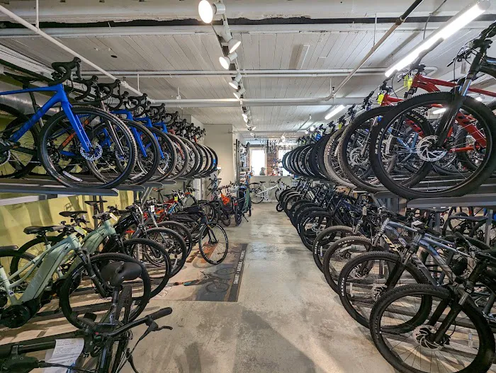 Village Velo of Bridgeport Picture 6