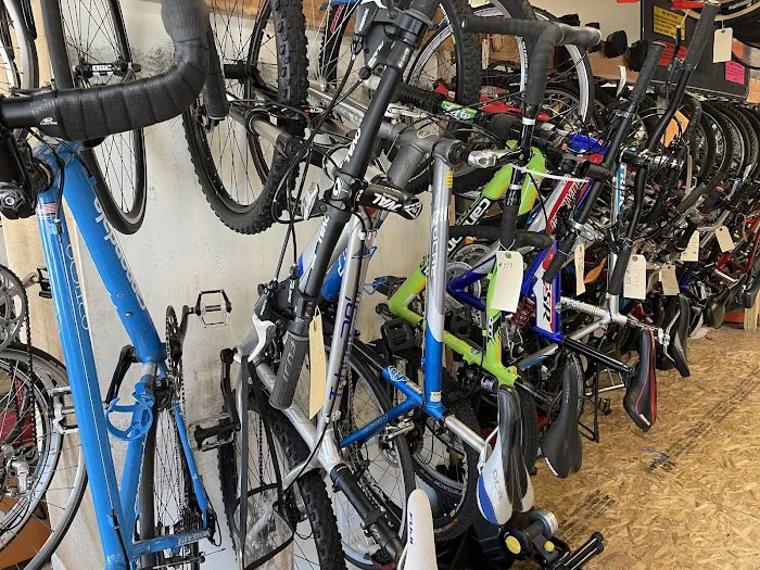 Zummo Bike Shop Picture 2