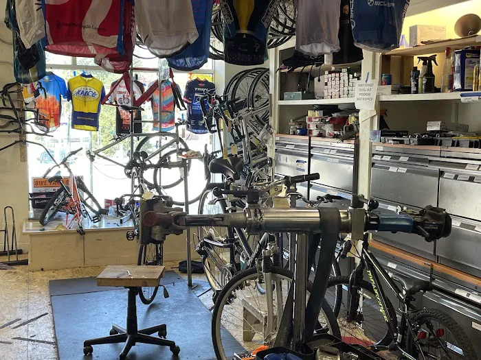 Zummo Bike Shop Picture 4
