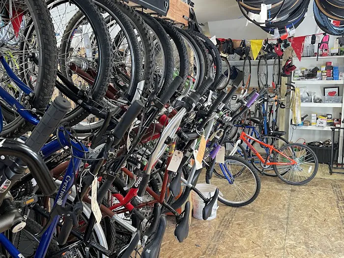 Zummo Bike Shop Picture 5
