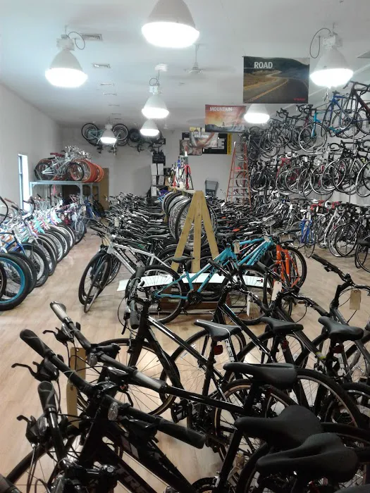 Fly E-Bike Picture 2