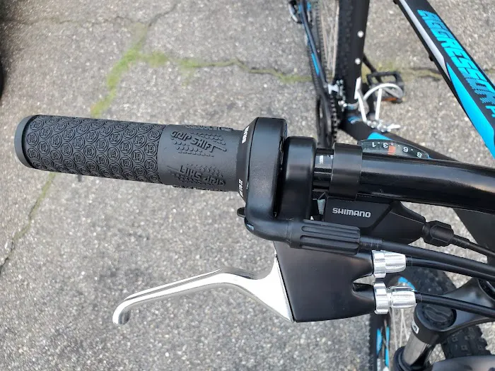 Fly E-Bike Picture 9