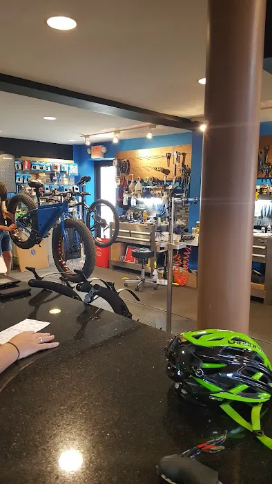 Twisted Cog Bike Shop Picture 1