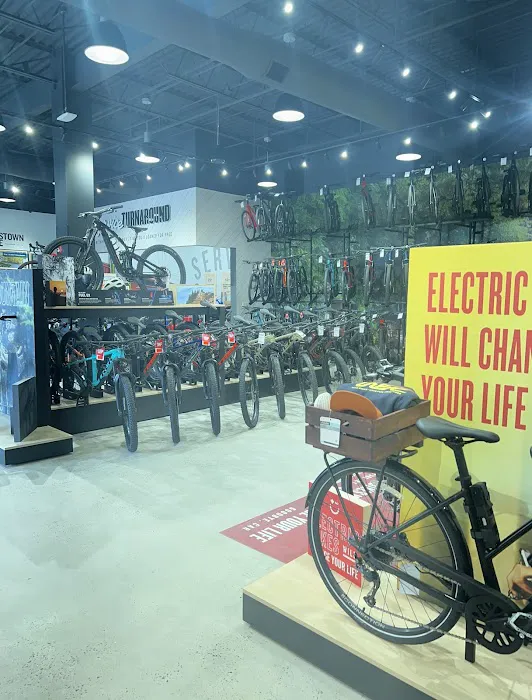 Trek Bicycle Spring House Picture 7