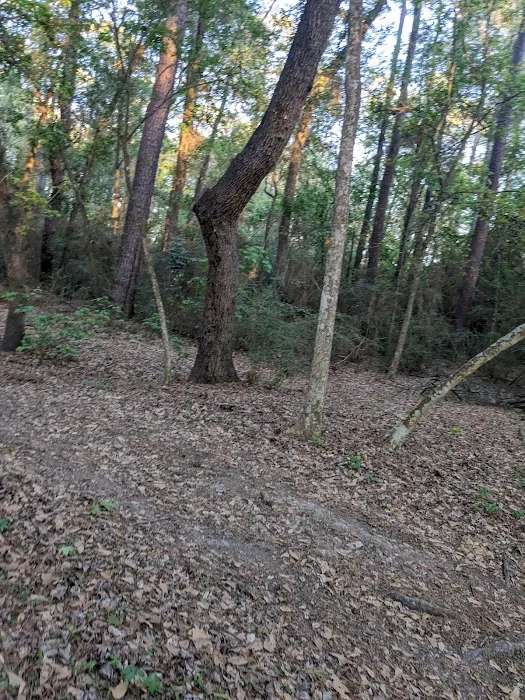 Halls Bayou Greenway Trail Picture 2