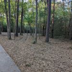 Halls Bayou Greenway Trail