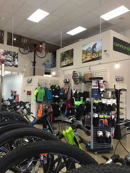 Bikesport Picture 5