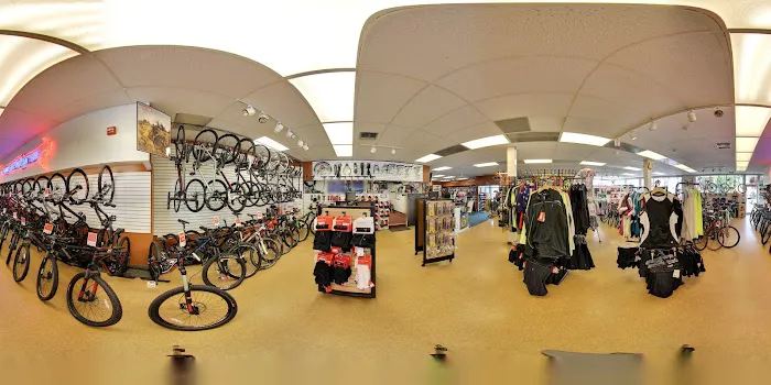 LoweRiders Bikes and Boards Picture 8