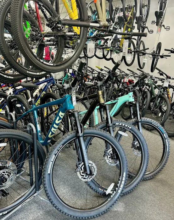 The Downingtown Bicycle Shop Picture 5