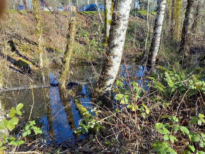 Little Coho(the Tables) Picture 3