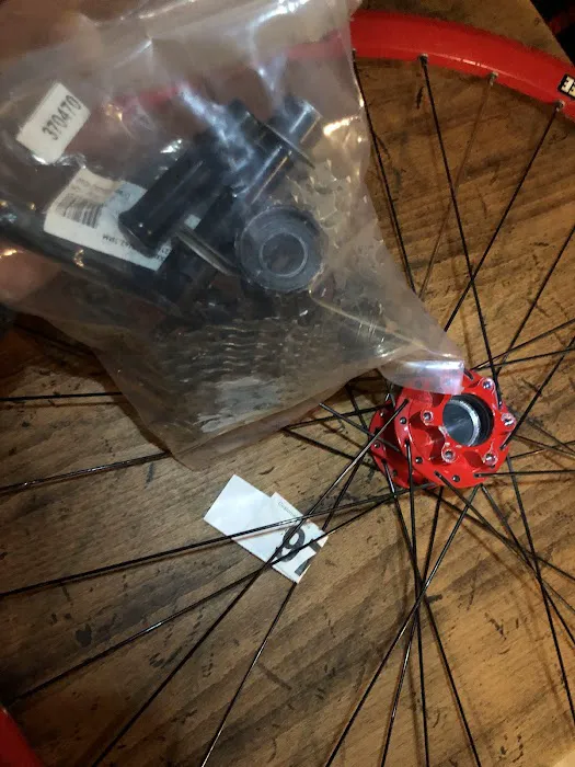 Pedaller Bike Shop Picture 2