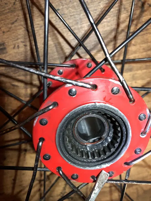 Pedaller Bike Shop Picture 9