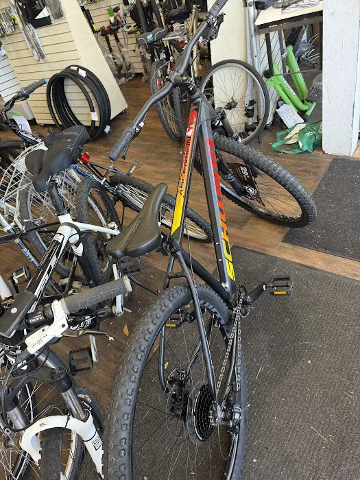 Pedaller Bike Shop Picture 8