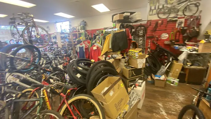 Pedaller Bike Shop Picture 10