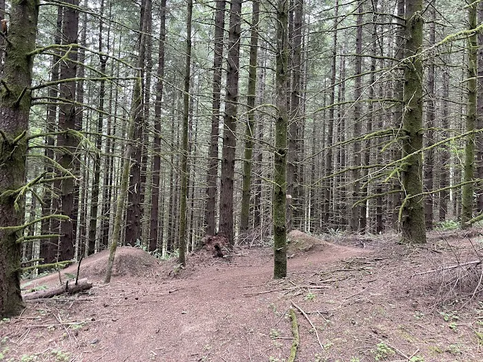 Rocky Point Mountain Bike Trail Network Picture 3