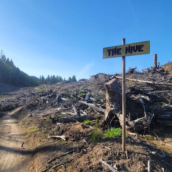Rocky Point Mountain Bike Trail Network Picture 8